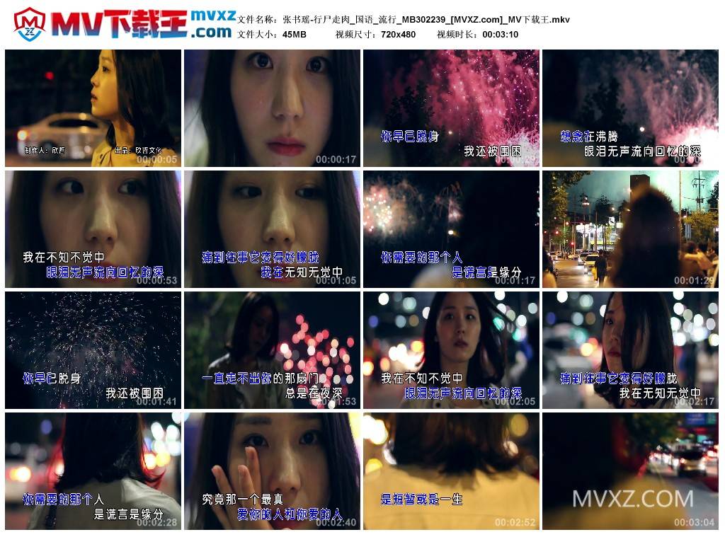 张书瑶-行尸走肉_国语_流行_MB302239